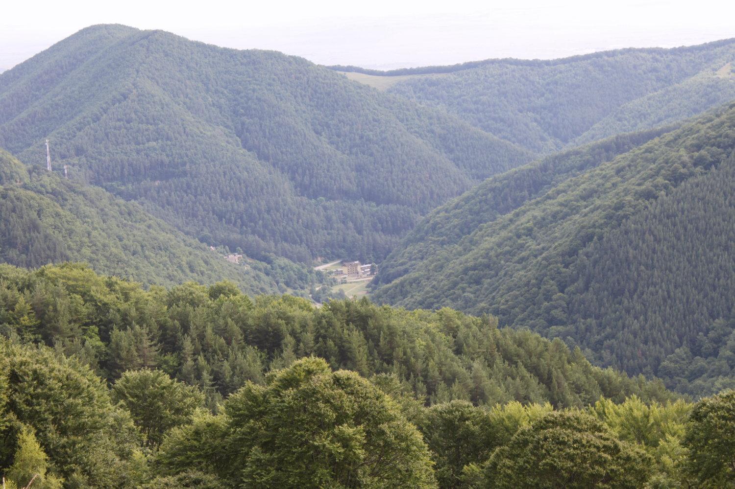Pension Curmatura Stezii Răşinari Exterior foto
